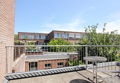 img_3725.jpeg