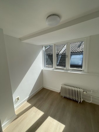 Medium property photo - Amsterdamsestraatweg 114BS, 3513 AL Utrecht