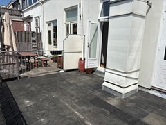 IMG_7529.jpeg
