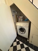 IMG_8282.jpeg