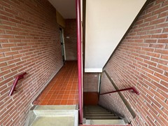 IMG_8492.jpeg
