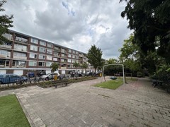 IMG_8499.jpeg
