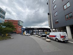 IMG_8505.jpeg