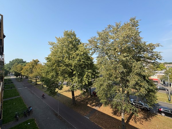 Medium property photo - Moezeldreef 235, 3561 GC Utrecht