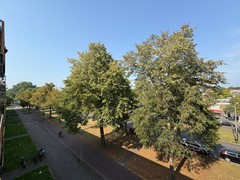 IMG_8762.jpeg