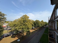 IMG_8760.jpeg