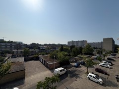 IMG_8764.jpeg