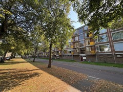 IMG_8758.jpeg