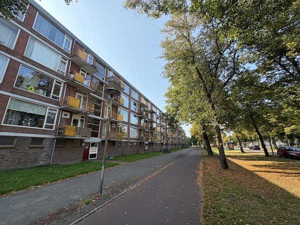Medium property photo - Moezeldreef 235, 3561 GC Utrecht