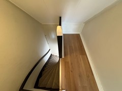 IMG_7950.jpeg
