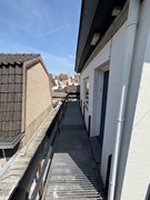 IMG_7993.jpeg