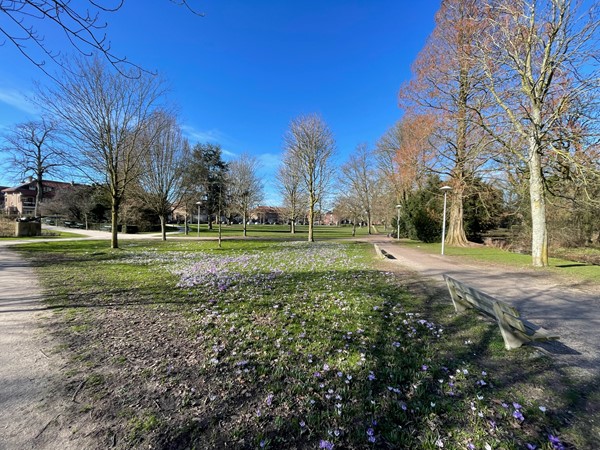 Medium property photo - Beethovenlaan 17, 3533 ER Utrecht