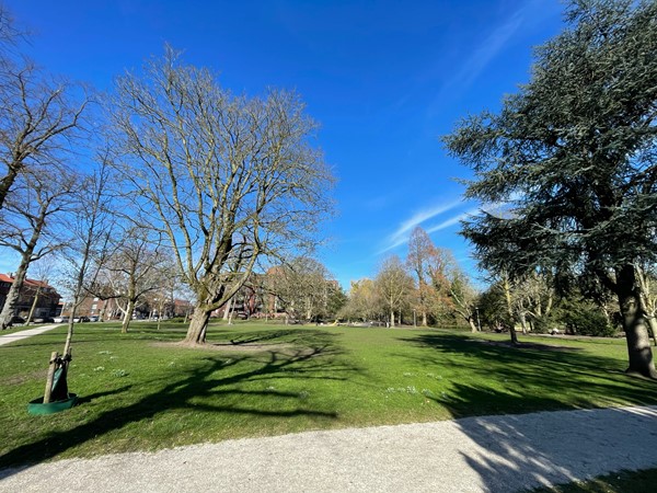 Medium property photo - Beethovenlaan 17, 3533 ER Utrecht