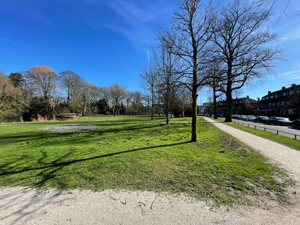 Medium property photo - Beethovenlaan 17, 3533 ER Utrecht