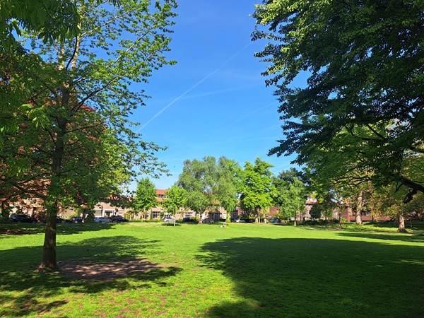 Medium property photo - Beethovenlaan 17, 3533 ER Utrecht