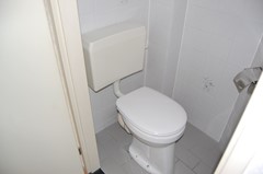 toilet.jpg