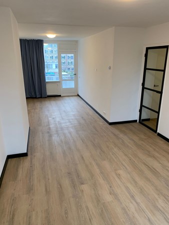 Medium property photo - Van Bijnkershoeklaan, 3527 XC Utrecht