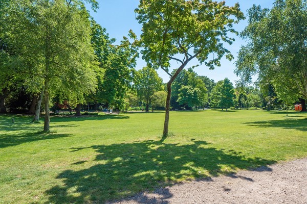 Medium property photo - Daendelsstraat, 3531 GE Utrecht