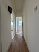 IMG_0710.jpeg