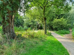 20200812_114056.jpg