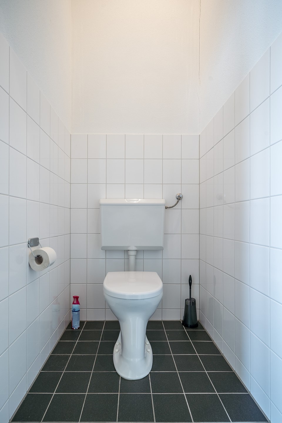 Image 12