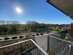 IMG_4031.JPG