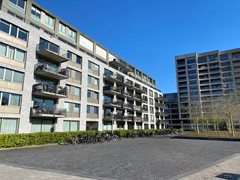 IMG_4026.JPG