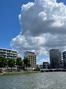 IMG_1659.jpeg