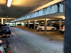 IMG_4225.jpg