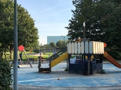 IMG_4234.jpg