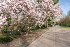 Sold: Dintelstraat 61-3, 1078 VR Amsterdam