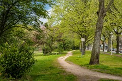 For sale: Linnaeusparkweg 114-2, 1098 EK Amsterdam