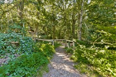 Doorntjes 19 - 46.jpg