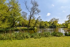 Wilhelminastraat 106-4 - 6.jpg