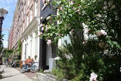 Nieuw in verhuur: Daniël Stalpertstraat 25-3, 1072 XA Amsterdam