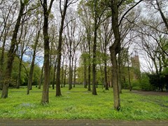 Rented: De Ruwiellaan 8, 1181 PS Amstelveen