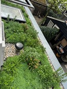 For rent: Dintelstraat 12-1, 1078 VS Amsterdam