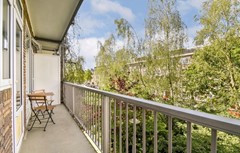 For rent: Reitdiepstraat 10-2, 1079 MA Amsterdam