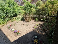 For rent: Vleutenstraat 100, 1106 CX Amsterdam