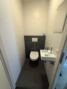 IMG_7099.JPEG