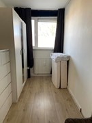 For rent: Mr. F.A. van Hallweg 102, 1181 ZV Amstelveen