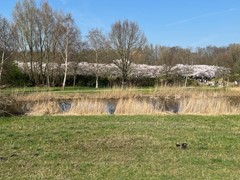 Nieuw in verhuur:Noorddammerlaan 82, 1187 AE Amstelveen - Foto