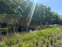 New for rent: Tulpenburg 33, 1181 NK Amstelveen