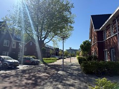 IMG_7750.JPEG