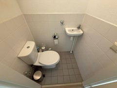 IMG_7924.jpg