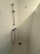IMG_7934.JPEG