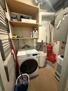 IMG_7937.JPEG