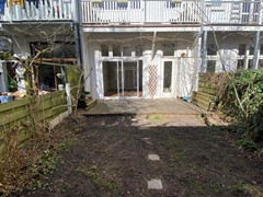 IMG_5343.JPG