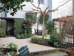 tuin gezamelijk.jpg