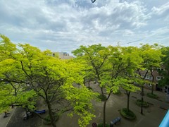 IMG_3510.JPG